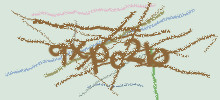 Проверочный код